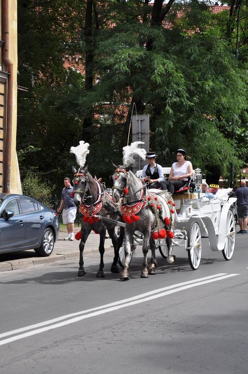 Staromiejskie Klimaty * Krakau